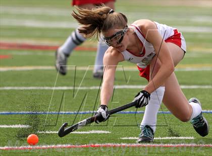 Thumbnail 1 in Garden City @ Sachem East photogallery.