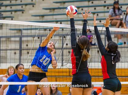 Thumbnail 2 in Stevens vs. Jay photogallery.