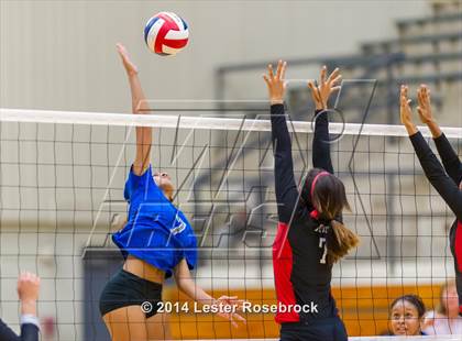 Thumbnail 2 in Stevens vs. Jay photogallery.