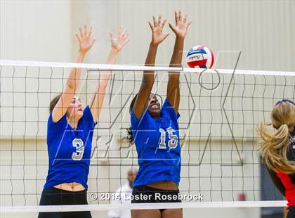 Thumbnail 3 in Stevens vs. Jay photogallery.