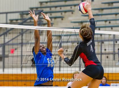 Thumbnail 2 in Stevens vs. Jay photogallery.