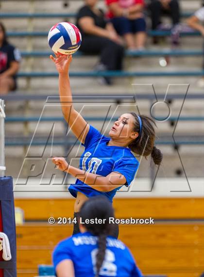 Thumbnail 2 in Stevens vs. Jay photogallery.