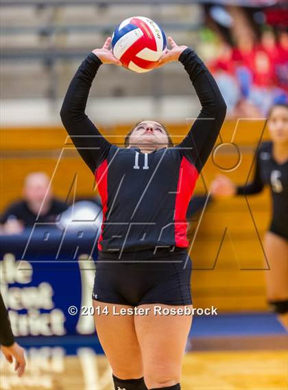Thumbnail 2 in Stevens vs. Jay photogallery.