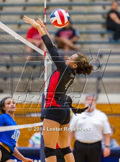 Thumbnail 2 in Stevens vs. Jay photogallery.
