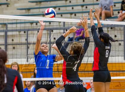 Thumbnail 3 in Stevens vs. Jay photogallery.