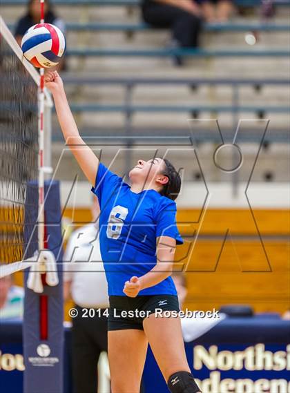Thumbnail 2 in Stevens vs. Jay photogallery.