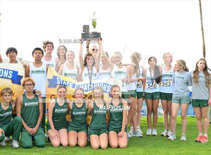 Thumbnail 1 in AIA D-II Boys State Championship (Awards) photogallery.