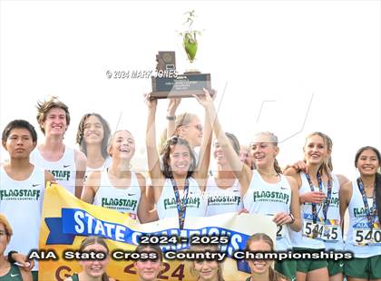 Thumbnail 1 in AIA D-II Boys State Championship (Awards) photogallery.