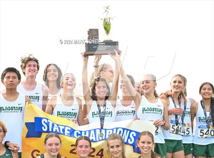 Thumbnail 3 in AIA D-II Boys State Championship (Awards) photogallery.