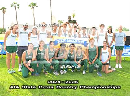 Thumbnail 2 in AIA D-II Boys State Championship (Awards) photogallery.