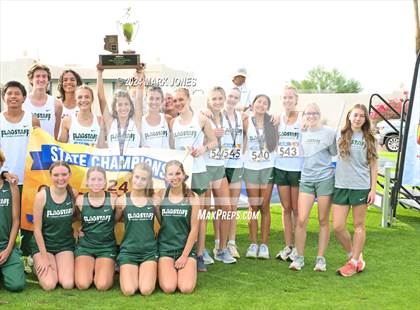 Thumbnail 2 in AIA D-II Boys State Championship (Awards) photogallery.