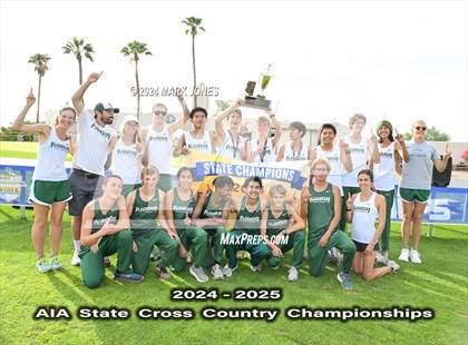 Thumbnail 1 in AIA D-II Boys State Championship (Awards) photogallery.