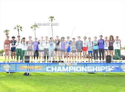 Thumbnail 3 in AIA D-II Boys State Championship (Awards) photogallery.