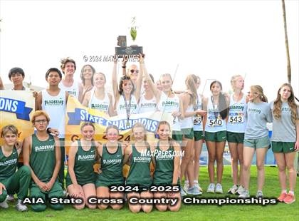 Thumbnail 2 in AIA D-II Boys State Championship (Awards) photogallery.