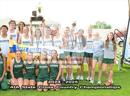 Thumbnail 3 in AIA D-II Boys State Championship (Awards) photogallery.