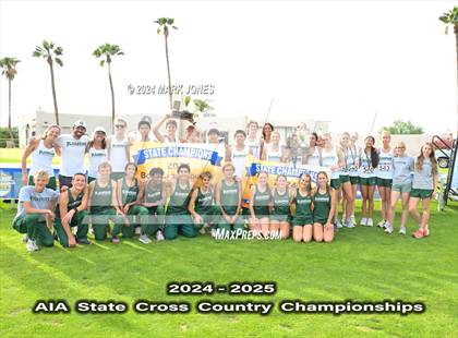 Thumbnail 2 in AIA D-II Boys State Championship (Awards) photogallery.