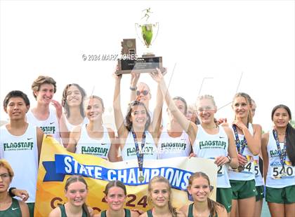 Thumbnail 3 in AIA D-II Boys State Championship (Awards) photogallery.