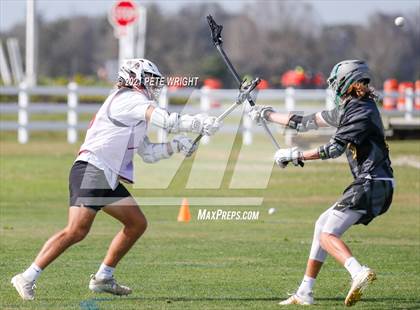 Thumbnail 2 in Riverview Sarasota vs Cypress Creek photogallery.