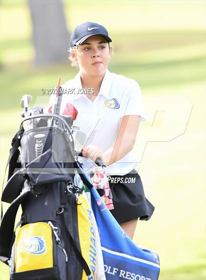 Thumbnail 3 in AIA DII Girls State Golf Championships photogallery.