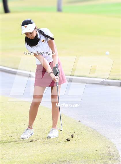 Thumbnail 1 in AIA DII Girls State Golf Championships photogallery.