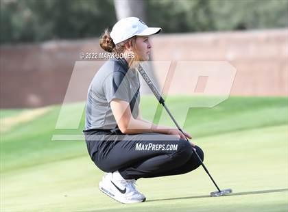 Thumbnail 2 in AIA DII Girls State Golf Championships photogallery.