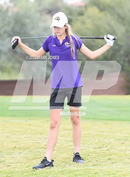 Thumbnail 1 in AIA DII Girls State Golf Championships photogallery.