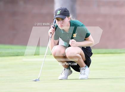 Thumbnail 2 in AIA DII Girls State Golf Championships photogallery.