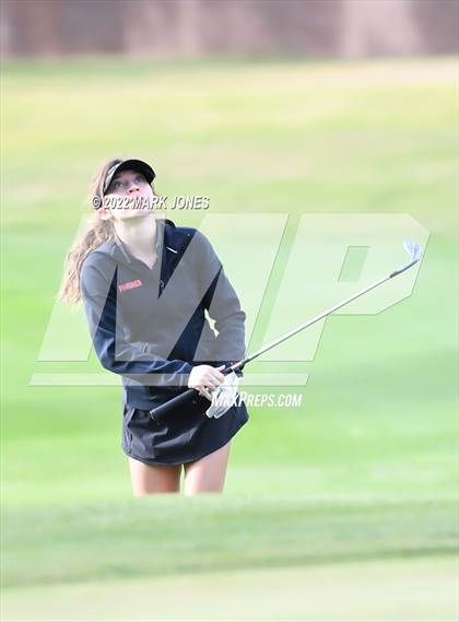 Thumbnail 3 in AIA DII Girls State Golf Championships photogallery.