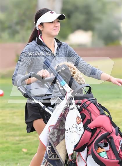 Thumbnail 1 in AIA DII Girls State Golf Championships photogallery.