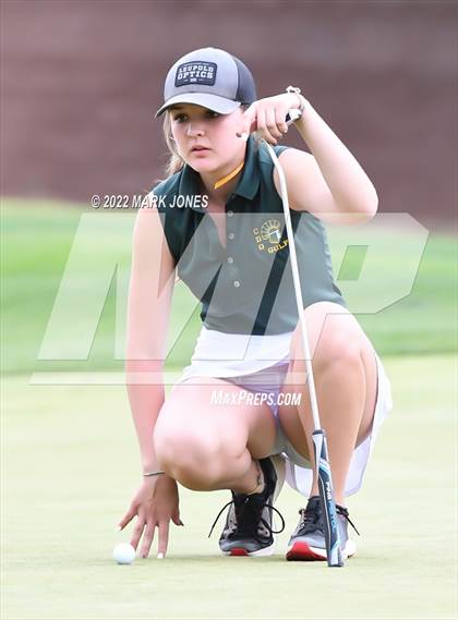 Thumbnail 2 in AIA DII Girls State Golf Championships photogallery.
