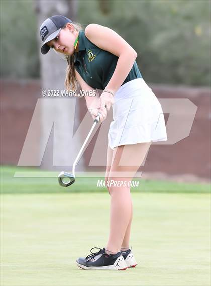 Thumbnail 2 in AIA DII Girls State Golf Championships photogallery.