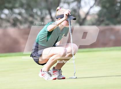 Thumbnail 1 in AIA DII Girls State Golf Championships photogallery.