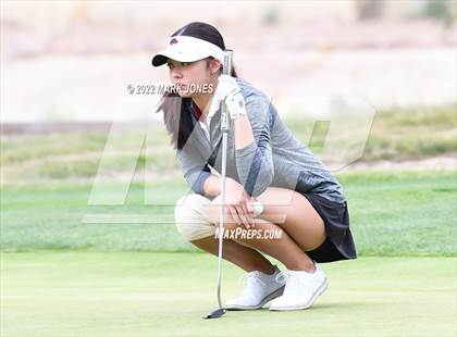 Thumbnail 3 in AIA DII Girls State Golf Championships photogallery.