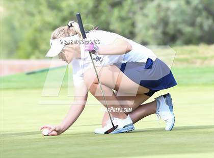 Thumbnail 3 in AIA DII Girls State Golf Championships photogallery.