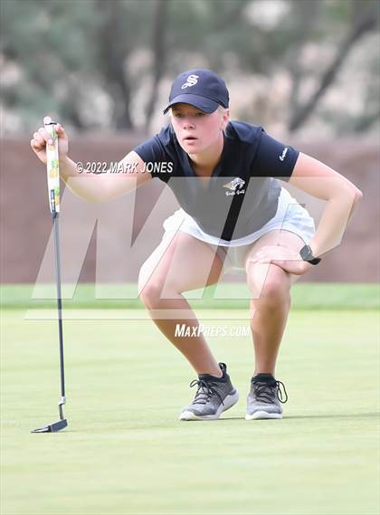 Thumbnail 3 in AIA DII Girls State Golf Championships photogallery.