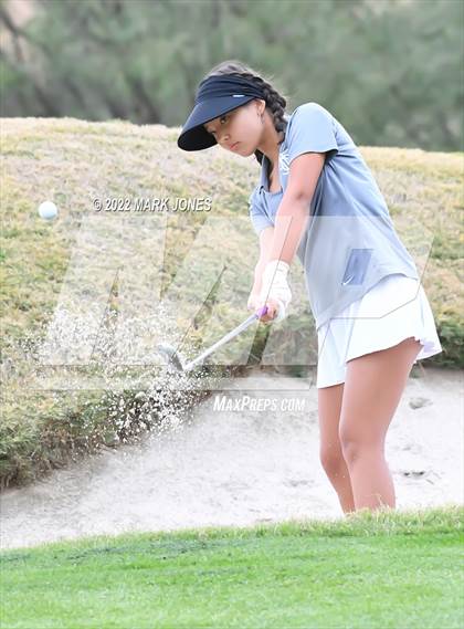 Thumbnail 2 in AIA DII Girls State Golf Championships photogallery.