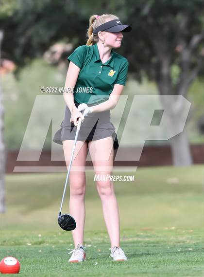 Thumbnail 1 in AIA DII Girls State Golf Championships photogallery.