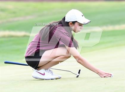 Thumbnail 2 in AIA DII Girls State Golf Championships photogallery.