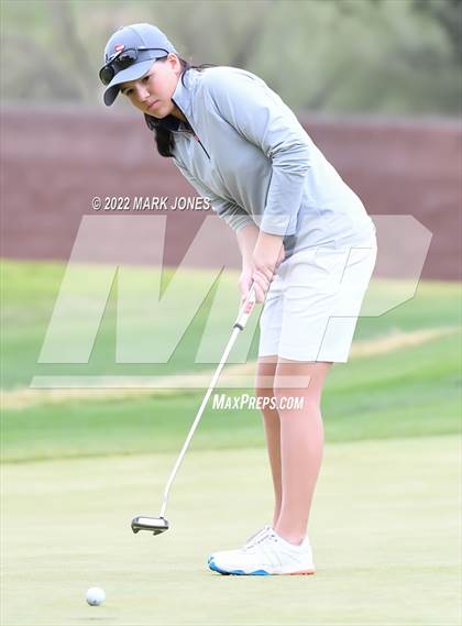 Thumbnail 3 in AIA DII Girls State Golf Championships photogallery.