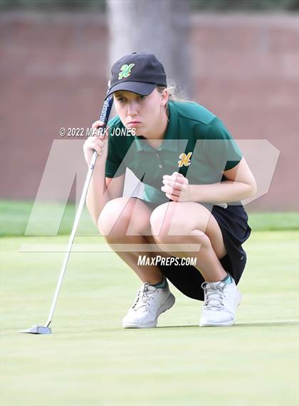 Thumbnail 1 in AIA DII Girls State Golf Championships photogallery.