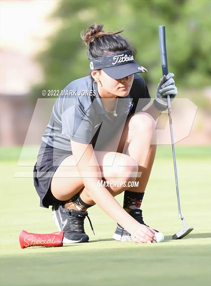 Thumbnail 3 in AIA DII Girls State Golf Championships photogallery.