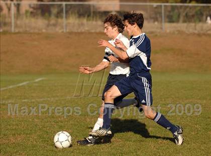Thumbnail 3 in Immaculate @ Notre Dame-Fairfield photogallery.