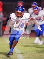 Photo from the gallery "Camelback @ Desert Edge"