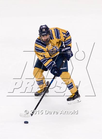 Thumbnail 1 in Malden Catholic vs. St. John's Prep (MIAA Super 8 Final) photogallery.