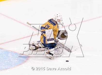Thumbnail 3 in Malden Catholic vs. St. John's Prep (MIAA Super 8 Final) photogallery.