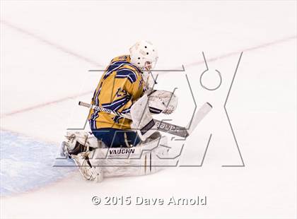 Thumbnail 3 in Malden Catholic vs. St. John's Prep (MIAA Super 8 Final) photogallery.