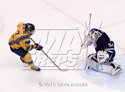 Thumbnail 1 in Malden Catholic vs. St. John's Prep (MIAA Super 8 Final) photogallery.