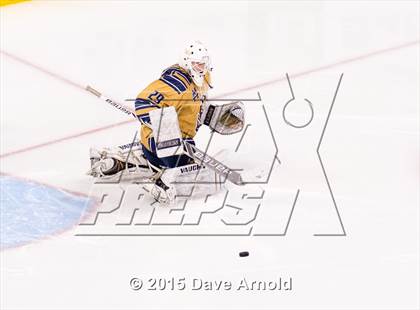 Thumbnail 1 in Malden Catholic vs. St. John's Prep (MIAA Super 8 Final) photogallery.