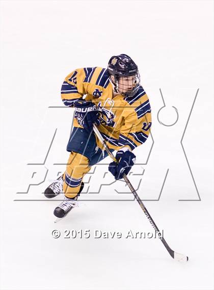 Thumbnail 1 in Malden Catholic vs. St. John's Prep (MIAA Super 8 Final) photogallery.