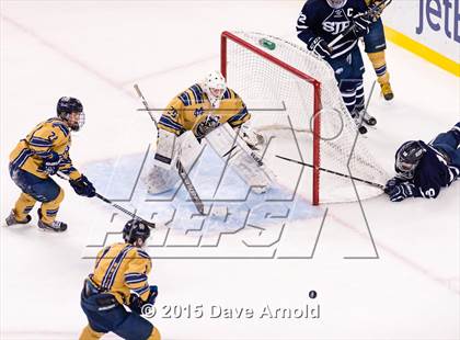 Thumbnail 1 in Malden Catholic vs. St. John's Prep (MIAA Super 8 Final) photogallery.